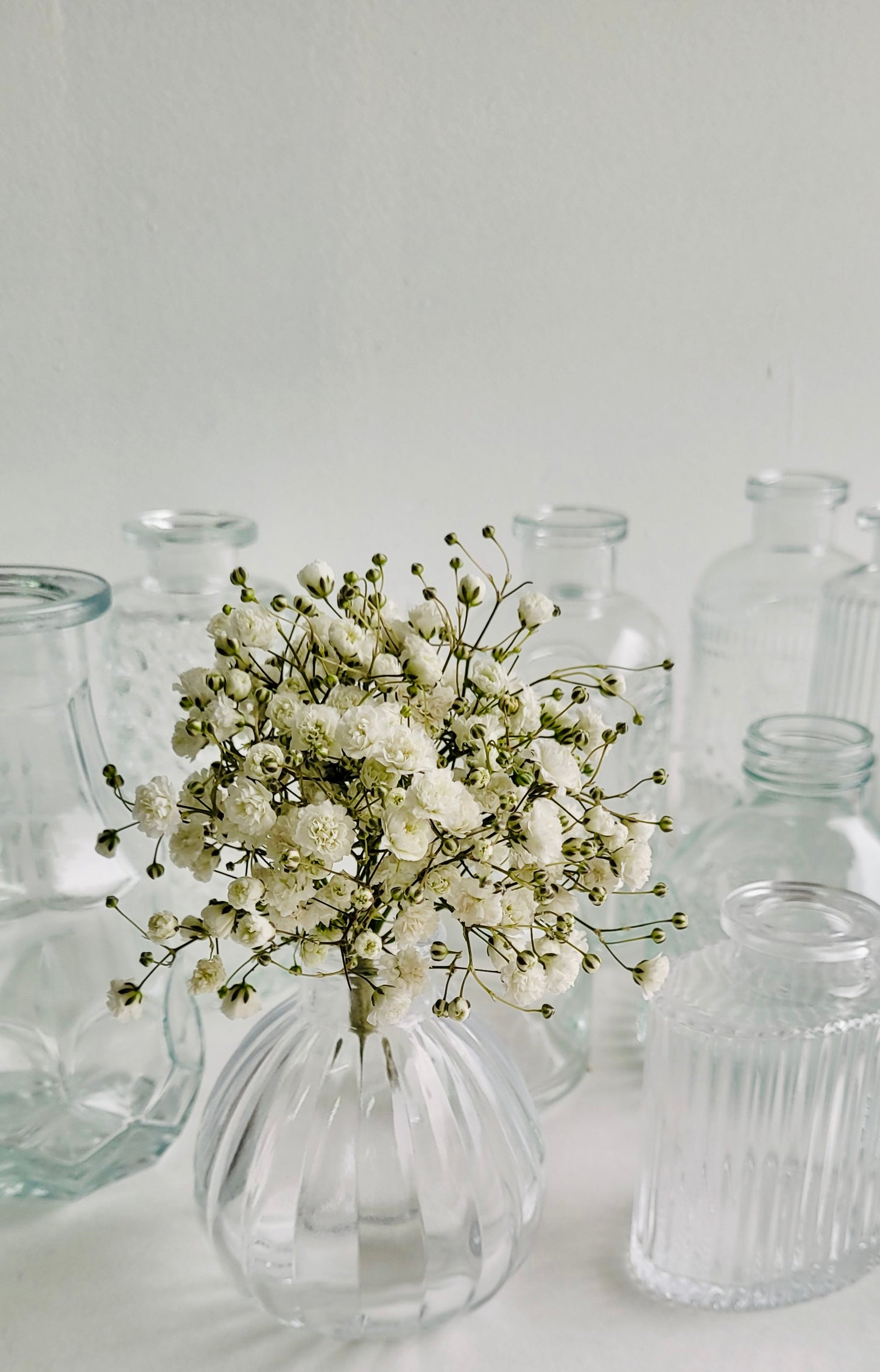 Bud Vases, Set of 12