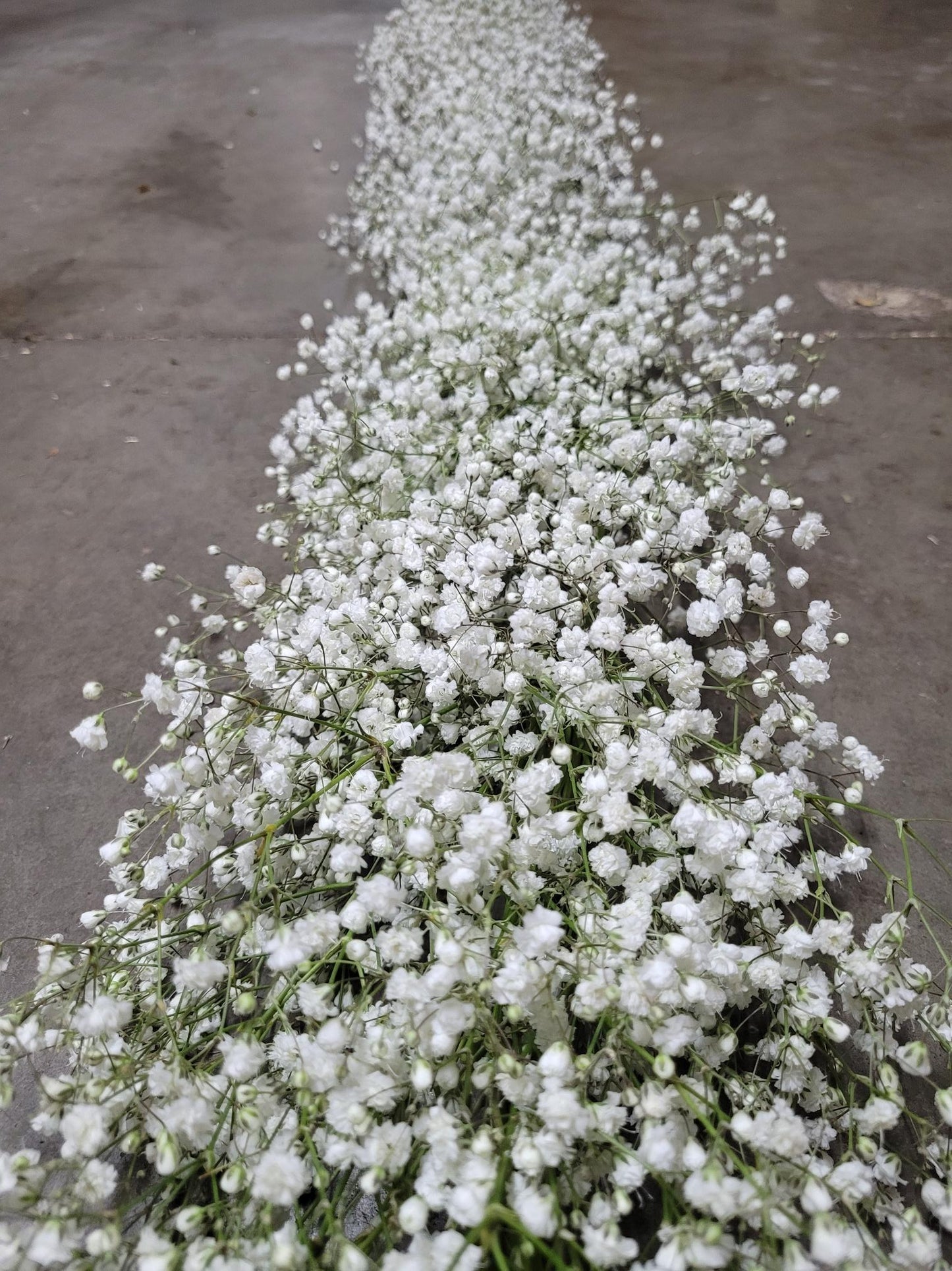 Baby's Breath Garland