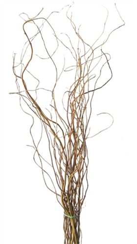 Curly Willow Tips Bunches