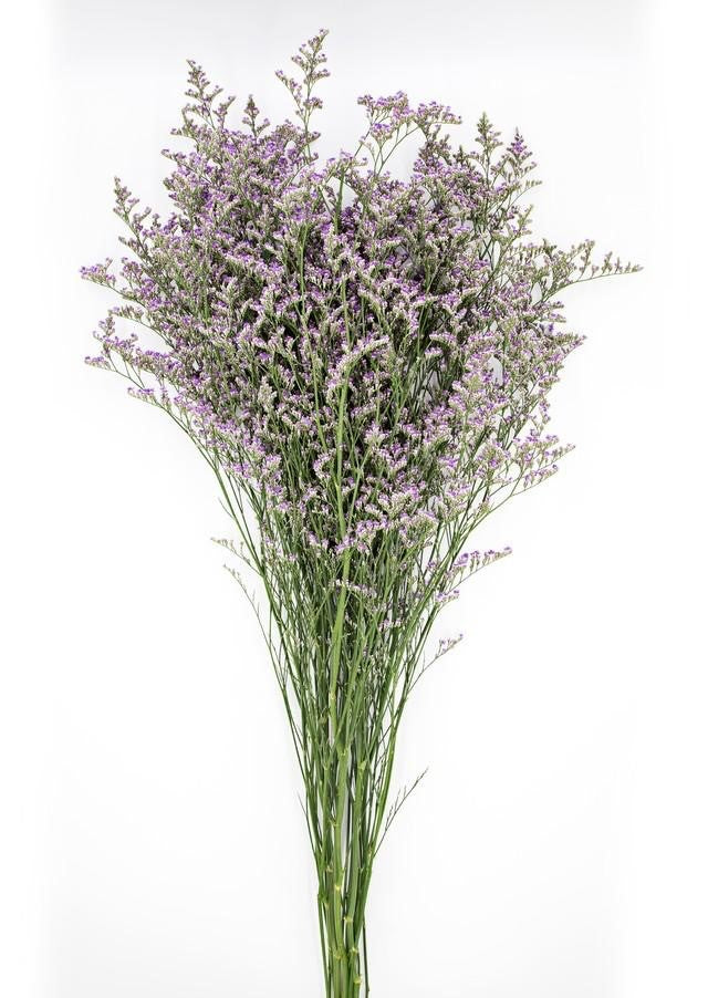 Purple Limonium, Flower Filler, Greenery and Foliage, Flowers, Bulk, Wholesale, DIY, Wedding