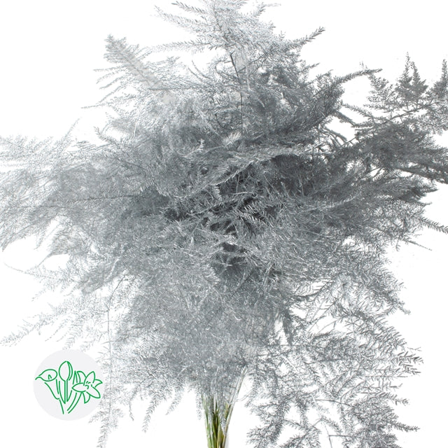Silver Metallic Plumosa, Foliage and Greenery, Flower, Flowers, Bulk, Wholesale, DIY, Wedding