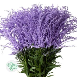 Lavender, Light Purple Solidago, Greenery and Foliage, flower, Flowers, Bulk, Wholesale, DIY, Wedding