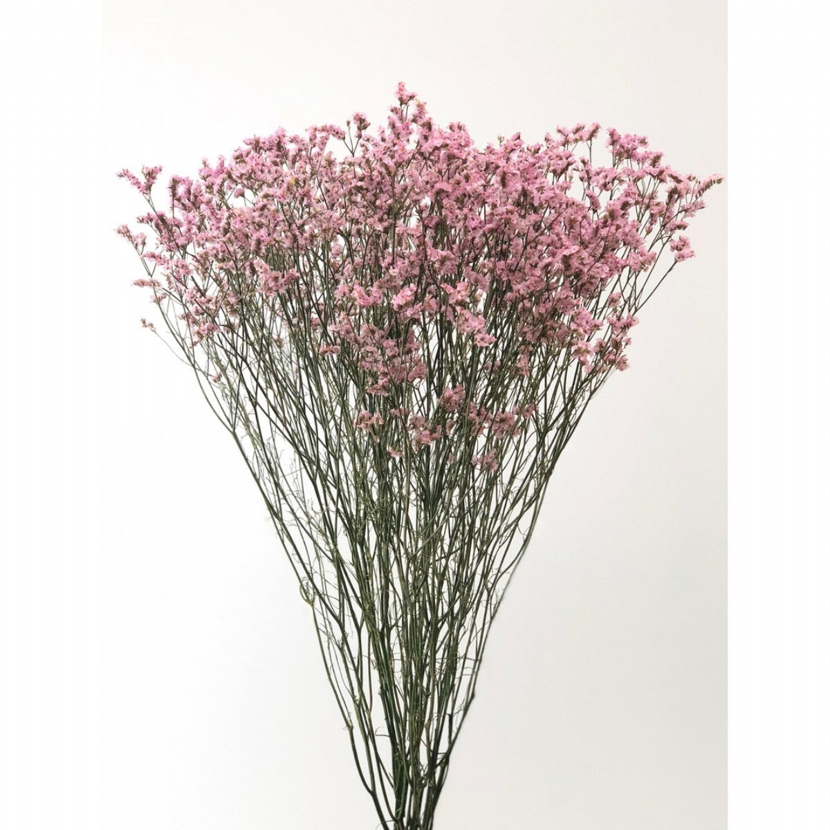 Pink Limonium, Flower Filler, Greenery and Foliage, Flowers, Bulk, Wholesale, DIY, Wedding