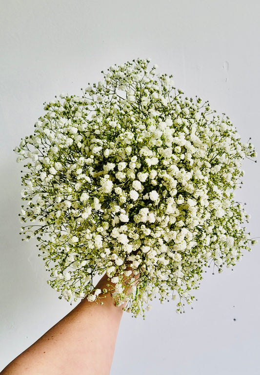 Baby's Breath Bride's Bouquet