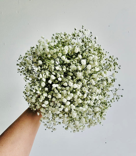 Baby's Breath Bridesmaid Bouquet