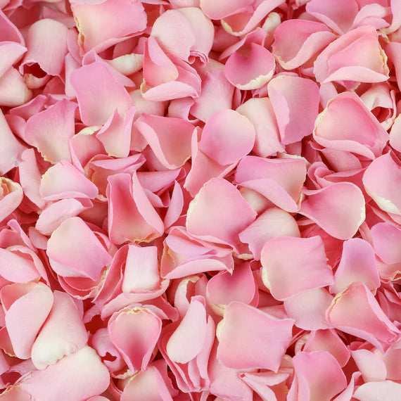 Rose Petals, Large Bag, Choose Your Color