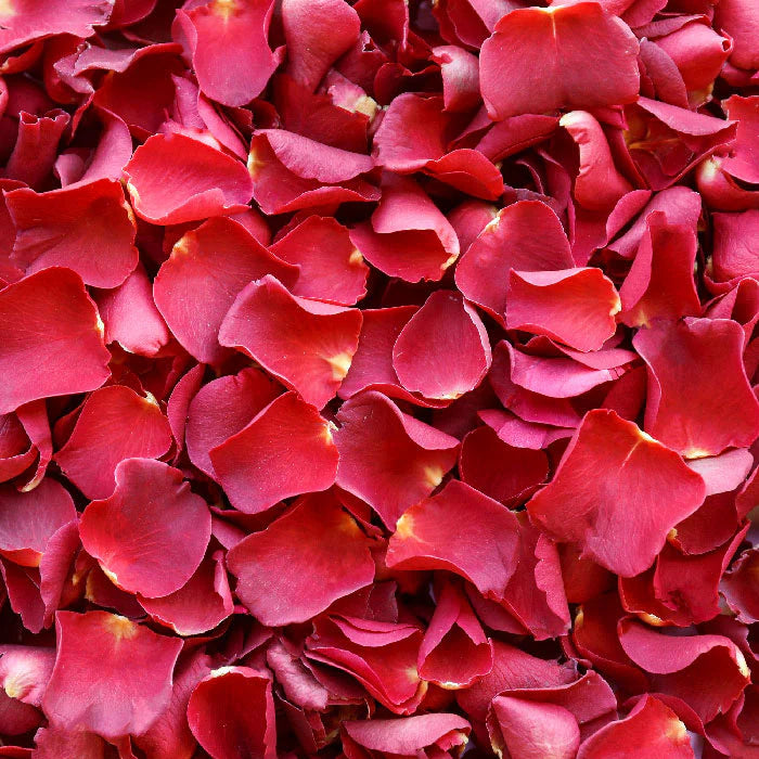 Rose Petals, Large Bag, Choose Your Color