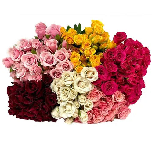 Spray Roses, 10 stems - Choose Your Color