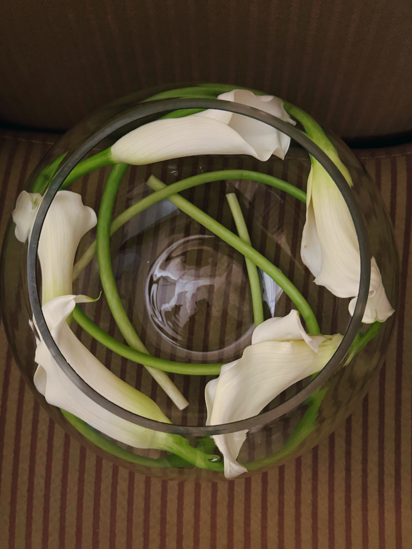 Whirlwind Calla Lily Centerpiece