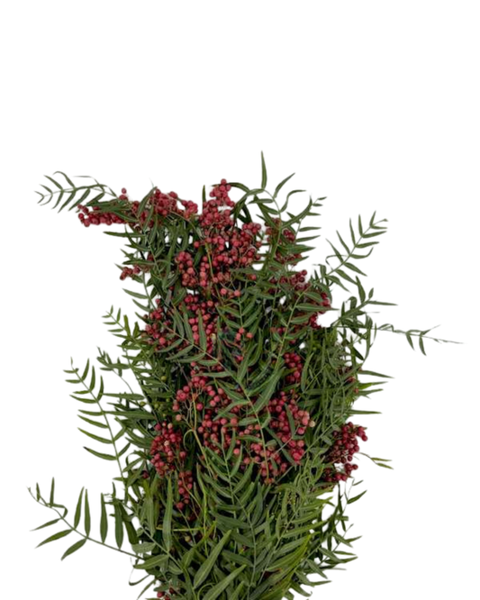 Pepperberry Hanging, bunch