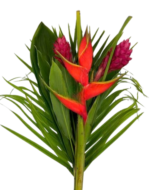 Mixed Ginger & Heleconia Tropical Bunch