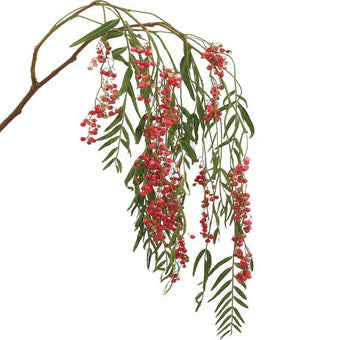 Pepperberry Hanging, bunch