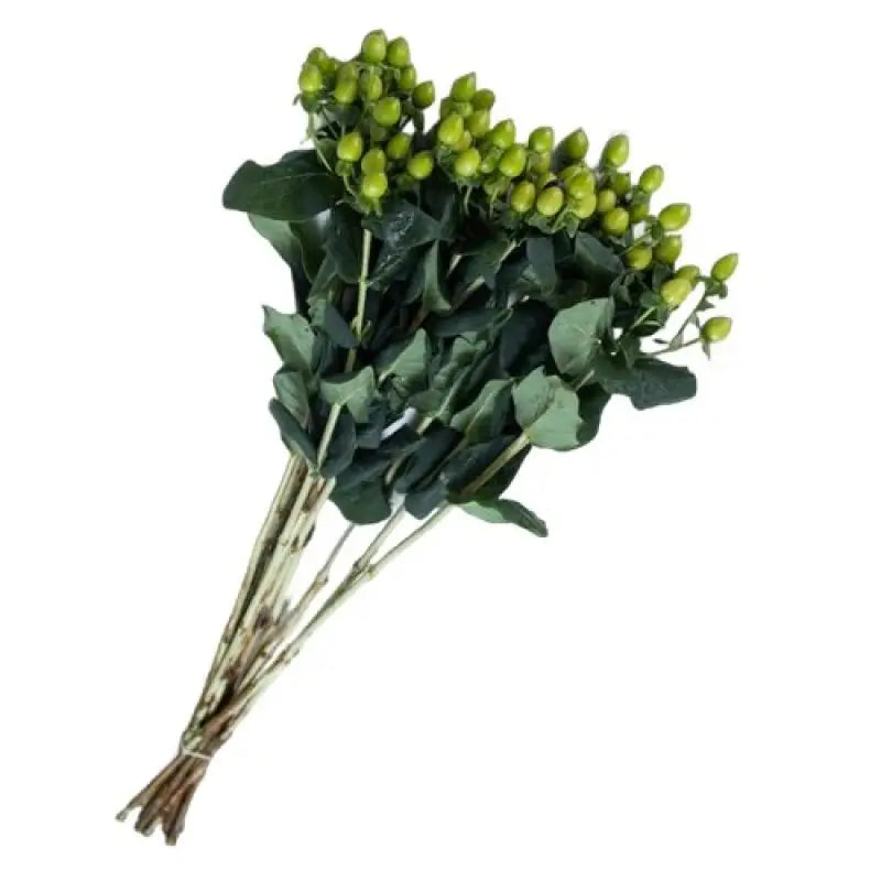 Hypericum Berries, 10 stems - Choose Your Color