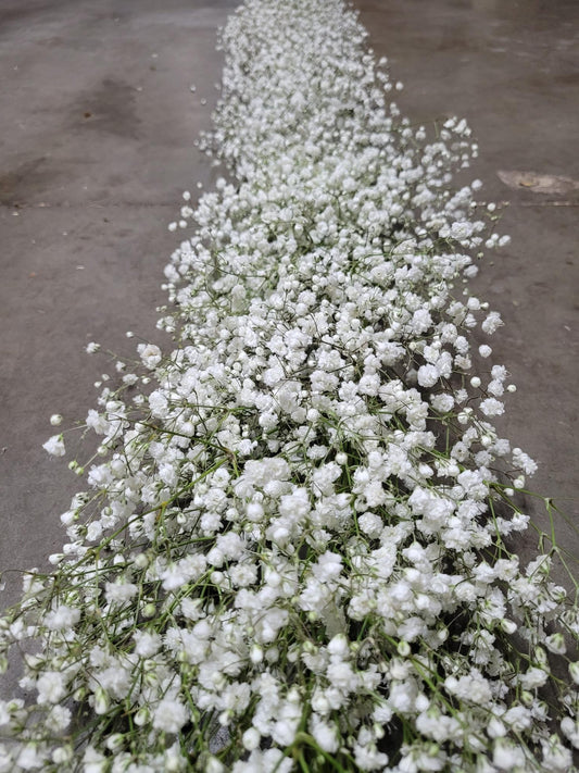 Baby's Breath Garland 