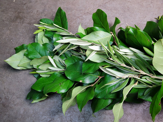 Salal and Olive Branch Greenery Garland, Centerpiece, Ceremony and Reception flower, Flowers, Bulk, Wholesale, DIY, Wedding