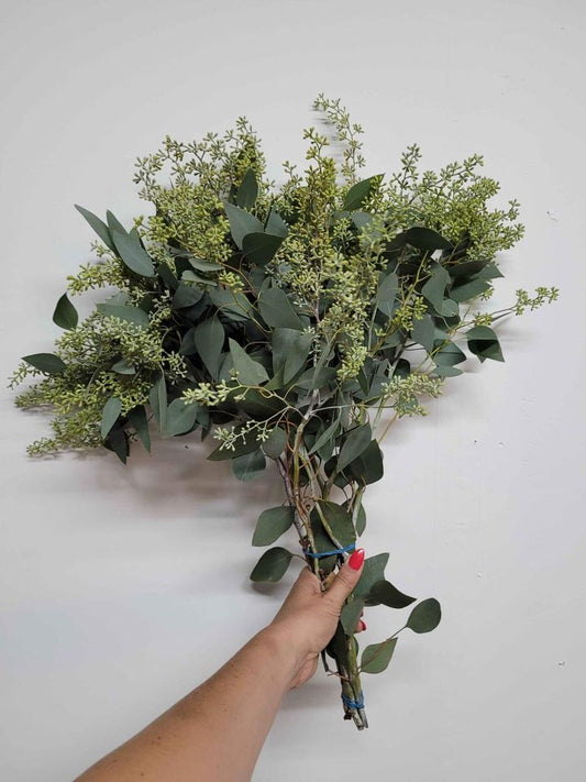 Seeded Eucalyptus Greenery