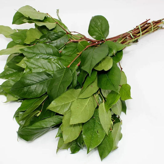 Salal Bunch, BC Greenery and Foliage, flower filler, Flowers, Bulk, Wholesale, DIY, Wedding