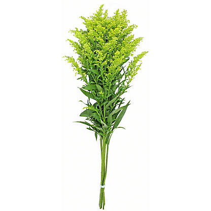 Solidago, yellow flower, greenery and foliage, flower, Flowers, Bulk, Wholesale, DIY, Wedding