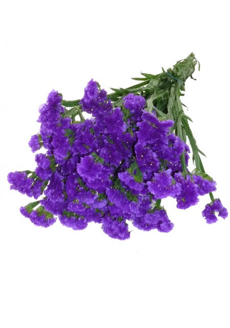 Purple Statice flower filler, greenery and foliage, Flowers, Bulk, Wholesale, DIY, Wedding